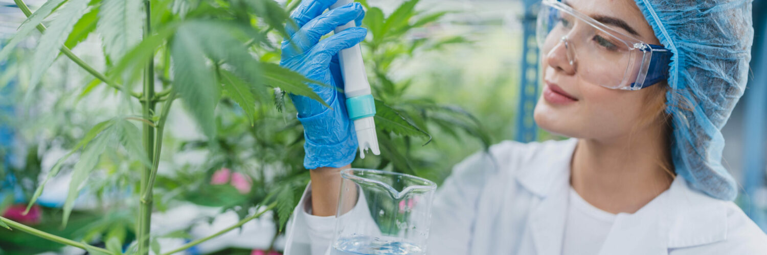 tratamento com cannabis medicinal