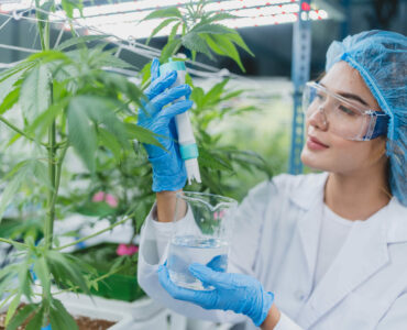 tratamento com cannabis medicinal