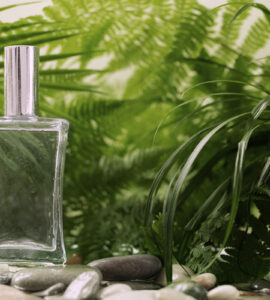 franquia de perfumes