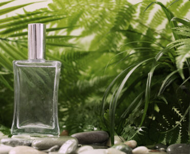 franquia de perfumes