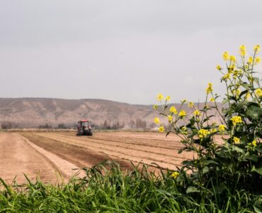 franquias de agronegócio